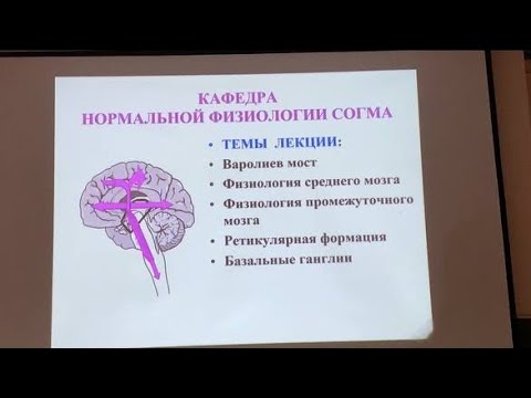 Видео: Часть1•Варолиев мост•Физиология среднего мозга•Физиология промежуточного мозга•Ретикулярная формация