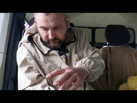 Видео: Как правильно дать матку в нуклеус, метить или нет???  6. Juli 2020