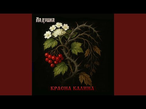 Видео: Красна калина