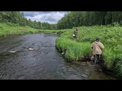 Видео: Завершение водометного похода. Ночевка в лесной избе.