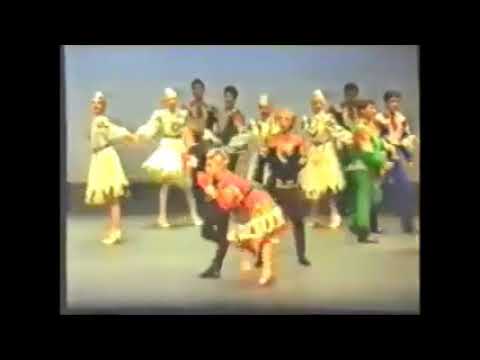 Видео: "На птичьем дворе" Ансамбль танца Сибири имени Годенко 1989 г.