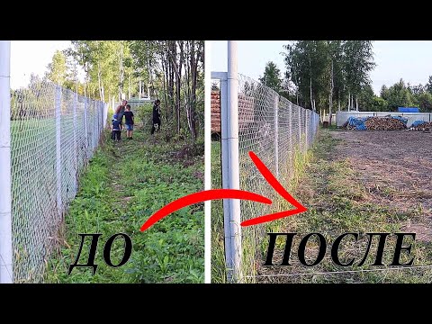 Видео: Из ЗАРОСШЕГО Заброшенного ДАЧНОГО УЧАСТКА в КОНФЕТКУ!!!