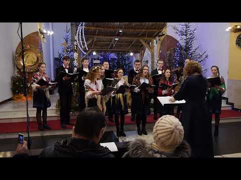 Видео: Що то за предиво - обр. В.Барвінського - Vivat musica