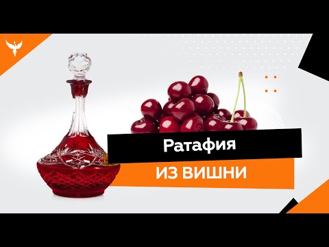 Видео: рДЖ 7: Ратафия вишневая - королева ратафий