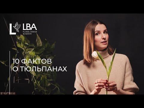 Видео: ПРАВИЛА РАБОТЫ С ТЮЛЬПАНАМИ | СОВЕТЫ ОТ LBA