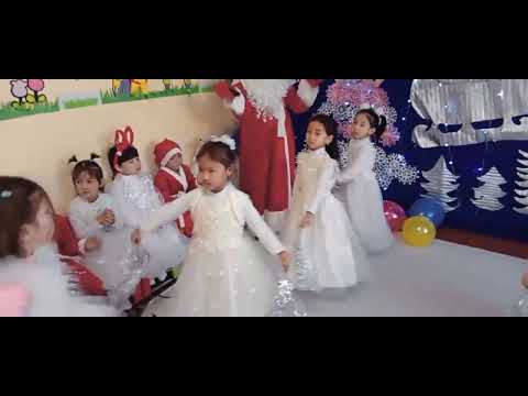 Видео: 24 января 2025 г.