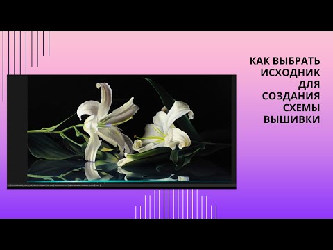 Видео: 14. Как выбрать исходник для создания схемы вышивки