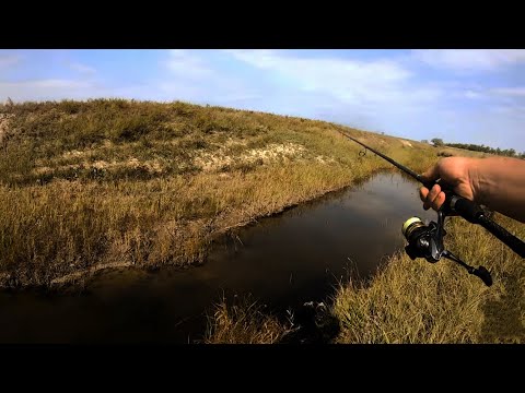 Видео: ЩУКА в ручье 1 метр!! ЭТО ПРОСТО ЖЕСТЬ! Такого я еще не видел!!