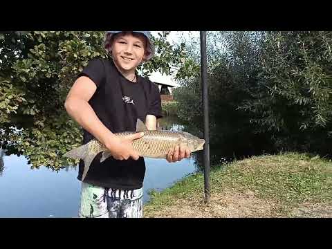 Видео: Зловили амура на 1,5 кг