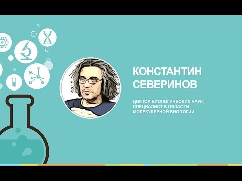 Видео: [ОтУС] Летняя школа 2014: Константин Северинов