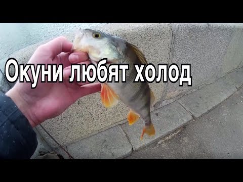 Видео: Стритфишинг - Космодамианская. Новоспасский мост #3