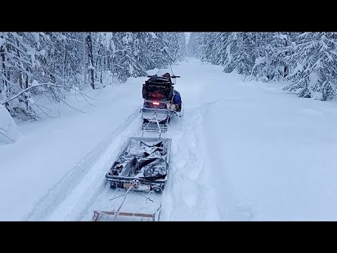 Видео: Ровняю буранку грейдером
