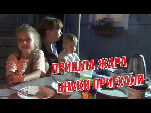 Видео: ПРИШЛА ЖАРА  ВНУКИ ПРИЕХАЛИ