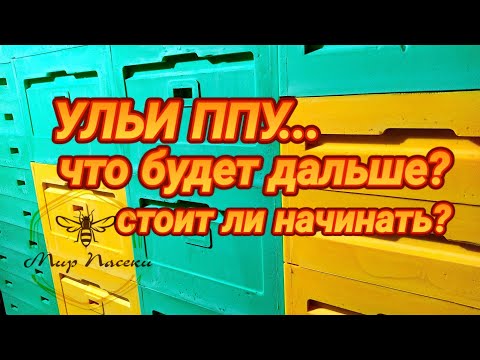 Видео: 🇷🇺 Ульи ППУ. Что будет? Стоит ли начинать? Ответы на вопросы