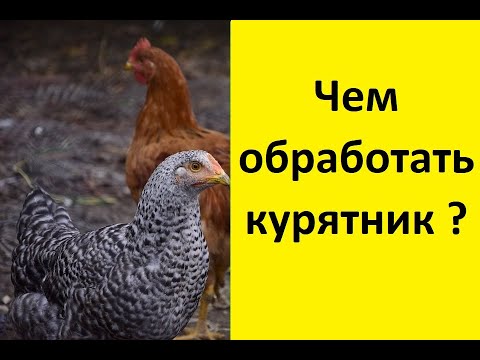 Видео: Обработка и дезинфекция курятника вместе с птицей однохлористым йодом