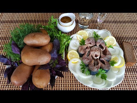 Видео: СКУМБРИЯ Соленая Очень ВКУСНАЯ. Выпуск №536