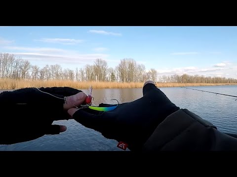 Видео: ЛИЖА БОКОВИЙ КИВОК і САЗАНИ не заховаються, Рибалка на Коропа і Карася