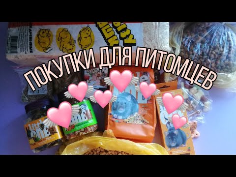 Видео: Покупки из зоомагазина для крыс и не только 🐀🐀🐶🐱