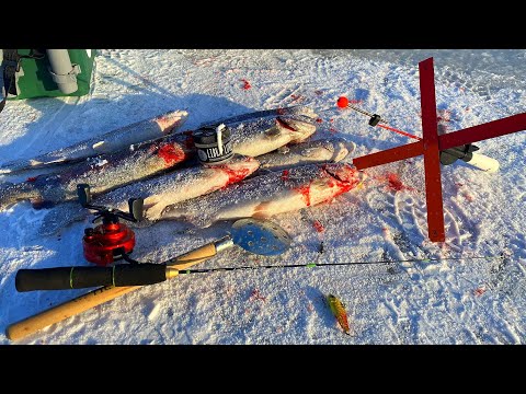 Видео: ПЕРВЫЙ ЛЕД 2022-23! ФОРЕЛЬ КЛЮЕТ Ловля форели на пассивную снасть и резину