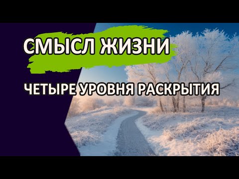 Видео: Смысл Жизни. Четыре уровня раскрытия
