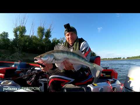 Видео: (часть 2) Ахтуба рыбалка 2025 июль. Ловля судака троллингом в коряжнике. ТРОЛЛИНГ в ОДИН СПИННИНГ