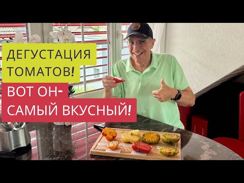 Видео: ИДУ К ЦЕЛИ!!!👩🏻‍🌾❤️ОБРЕЗКА ЛИСТЬЕВ И ДЕГУСТАЦИЯ ТОМАТОВ!🍅🍅🍅ЭТОТ СОРТ ВСЕХ ПОБЕДИЛ!🎉🏆🔥