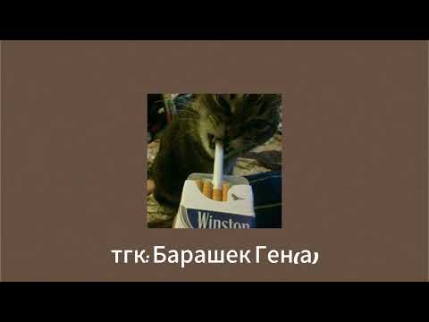 Видео: Плейлист, а ты принял ситуацию