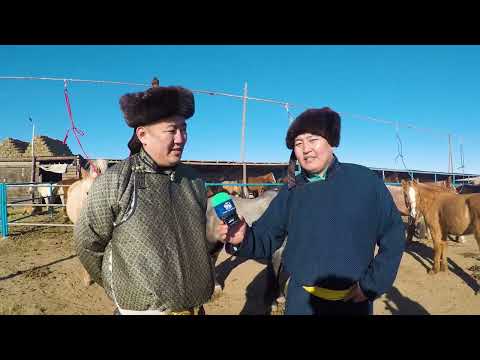 Видео: УЯАЧИЙН ЭРДЭМ РЕАЛИТИ НЭВТРҮҮЛЭГ 9