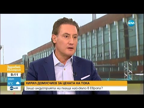 Видео: Кирил Домусчиев: Има енергийна мафия в България