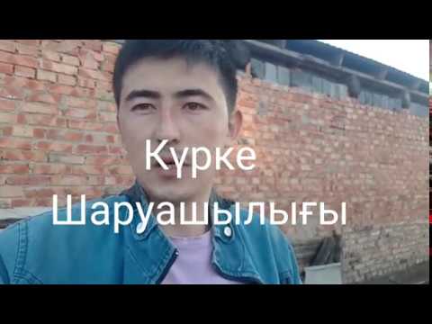 Видео: Брудер жасау, күрке шаруашылығы