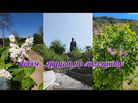 Видео: Ловеч - градът на люляците