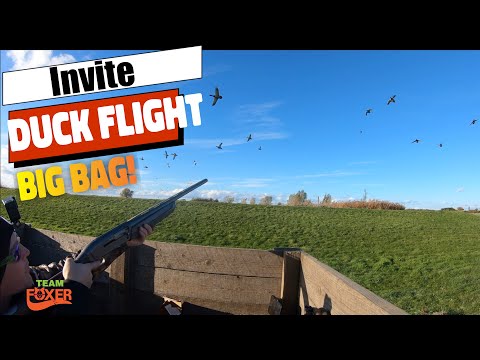 Видео: Полёт уток на пруду. Насыщенная двухчасовая сессия! С несколькими быстрыми утками...