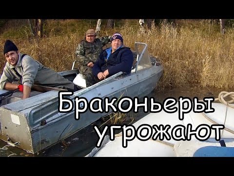 Видео: Браконьеры угрожают