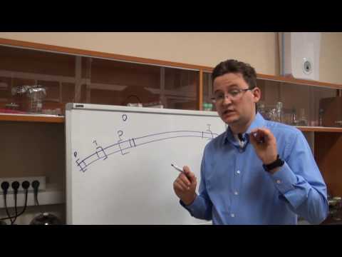 Видео: Регуляция транскрипции, lac оперон Ecoli