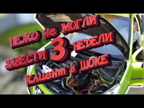 Видео: Пежо не могли завести 3 недели  Клиент в шоке