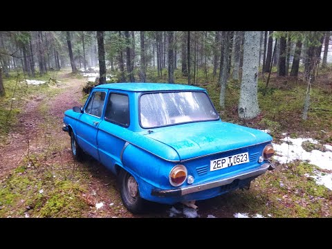 Видео: Запорожец 1973г! Встряхнуть старичка!