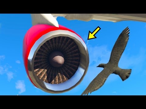 Видео: Ұшаққа құспен соқса не болады? | GTA 5