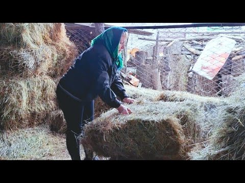 Видео: Заплыла жиром, пора записаться на фитнес.