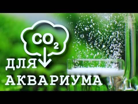 Видео: СО2 ДЛЯ АКВАРИУМА: ВЫБОР, НАСТРОЙКА, РЕКОМЕНДАЦИИ