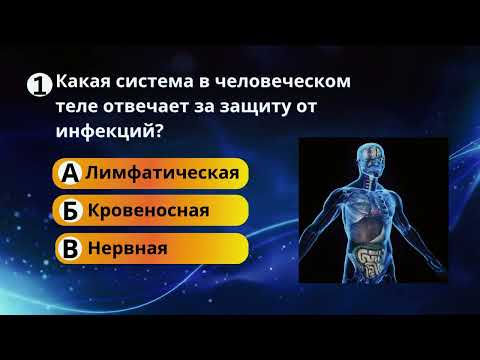 Видео: Психо, Хэллоуин или Чужой?