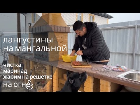 Видео: креветки на мангале, лангустины жарим на углях