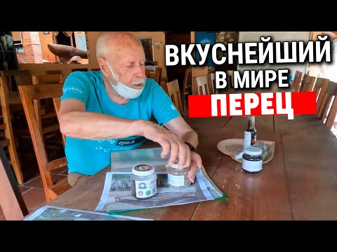 Видео: Самый вкусный в мире Кампотский перец Азия 2022 The World's Most Delicious Kampot Pepper Asia 2022