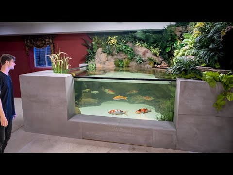 Видео: Год назад я построил экосистему. Это случилось