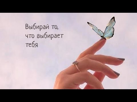Видео: 🛫✈️🗽Урок пройден! Полное прохождение уровня🤯🐦‍🔥