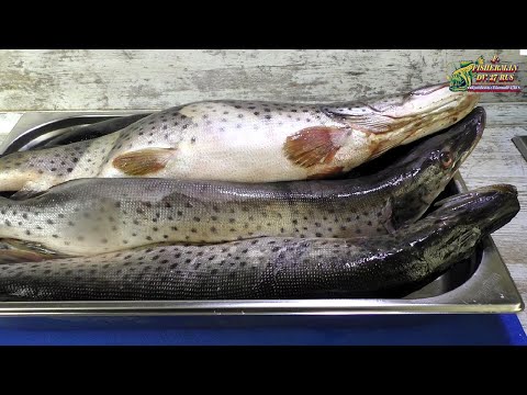Видео: Как Приготовить Настоящую Северную Закуску из Рыбы За 15 Минут? СУГУДАЙ ИЗ ЩУКИ!