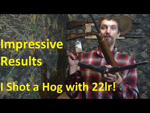 Видео: Обзор Aguilla Interceptor 22lr