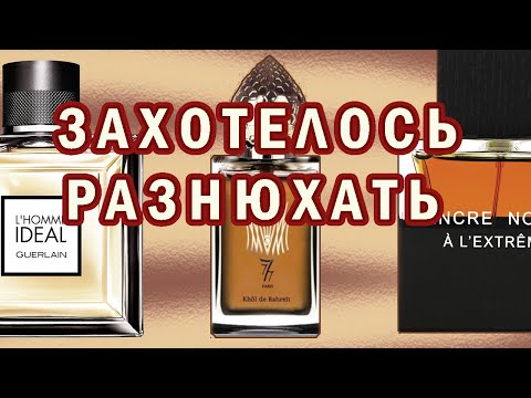 Видео: Есть возможность попробовать - надо пробовать!