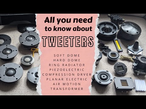 Видео: Все, что вам нужно знать о твитерах