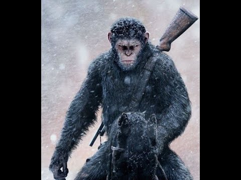 Видео: Распаковка (не prabos :)) станка для заточки ножей ВЕКТОР V-Prof-2 RP.