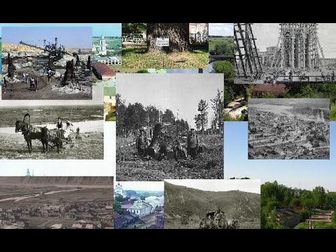 Видео: Где старые деревья?  Факты из истории и разоблачение.